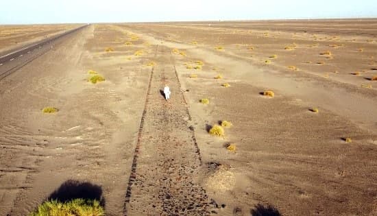 یک جاده باستانی سر از زیر خاک بیرون آورد!