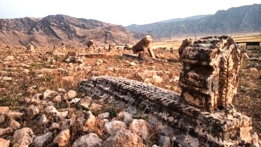 شیرهای سنگی به کام سارقان ساماندهی می‌شود!