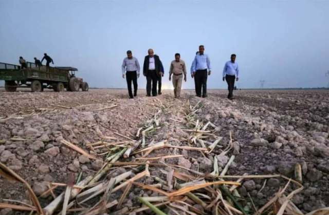 طلوع امید در مزارع نیشکر