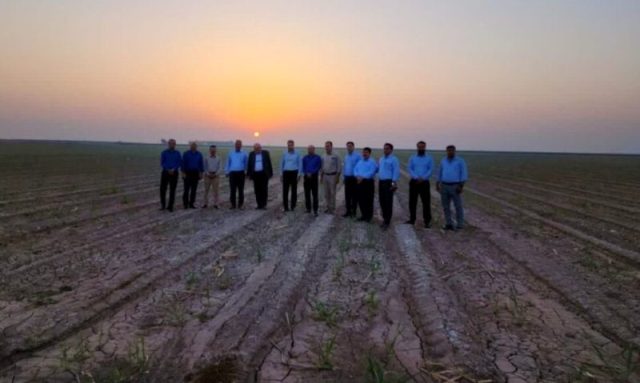 طلوع امید در مزارع نیشکر