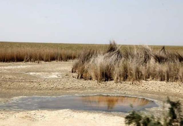 (زر) خوزستان زرخیز را قدر می دانیم/ آب را ول بکنید!