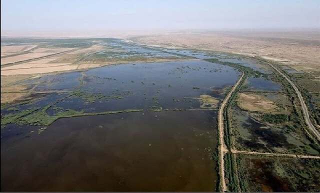 تالاب های خوزستان، نفت می نوشند!