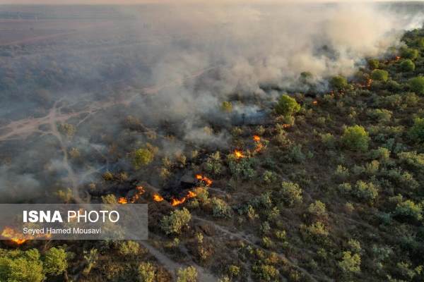آتش سوزی پارک ملی کرخه در خوزستان