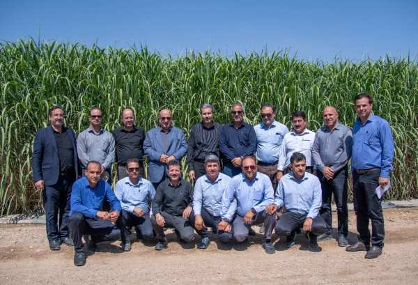 جمع تولیدکنندگان انبوه زنبور تلنموس جور شد