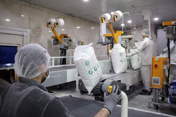 رشد ۱۰۰ درصدی سودآوری نیشکر انجام می‌شود