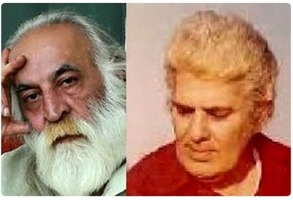 ماجرای احمد شاملو، شجریان و محمدرضا لطفی درباره موسیقی سنتی ایرانی ماجرای احمد شاملو، شجریان و محمدرضا لطفی درباره موسیقی سنتی ایرانی