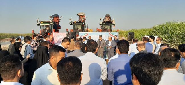 کشت و صنعت دهخدا سرسبزتر از اهواز!