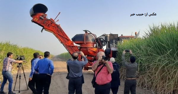 کانگوروهای آهنینِ 