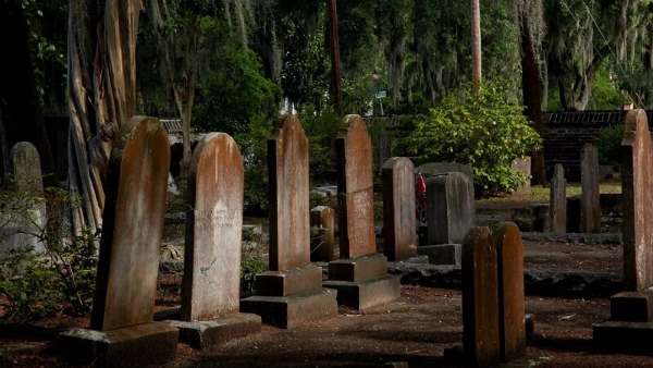 این زن یک خونآشام واقعی بود! این زن یک خونآشام واقعی بود!