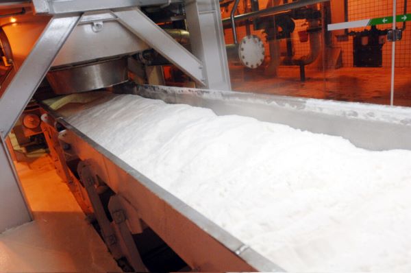 تولید شکر از مرز ۱۲۰ هزار تن عبور می‌کند/میانگین راندمان نیشکر به ۱۰۰ تُن در هکتار رسید