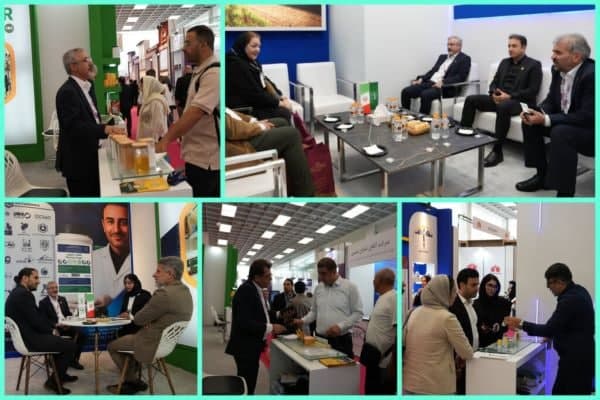 توان فناورانه نیشکر به نمایش درآمد