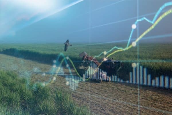 سود تجمیعی فراتر از پیش‌بینی بودجه شد/ تحقق ۶۰ درصدی سود نیشکر در میان‌دوره