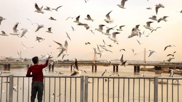 سوگ‌یادی برای پروازهای ممنوع!