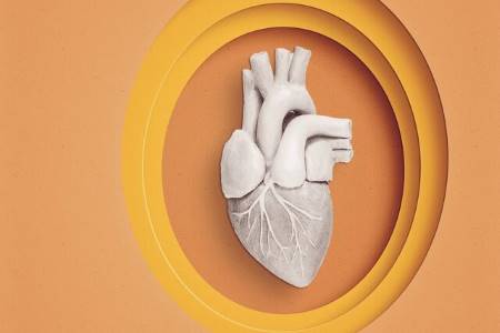 کاربرد بادام در بهبود سلامت قلب کاربرد بادام در بهبود سلامت قلب