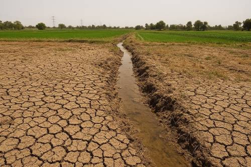 بازسازی الگوی کشت، راه نجات کشاورزی خوزستان