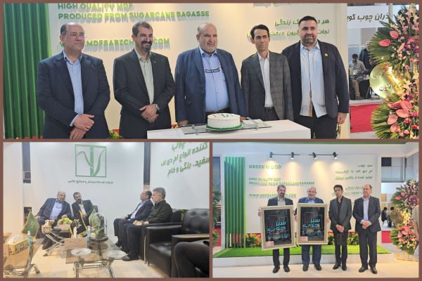 نیشکر درخت شد!