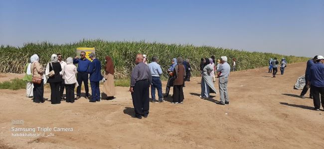 «فارابی»؛ همزیستی علم، صنعت و زیست‌بوم