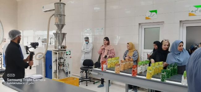 «فارابی»؛ همزیستی علم، صنعت و زیست‌بوم