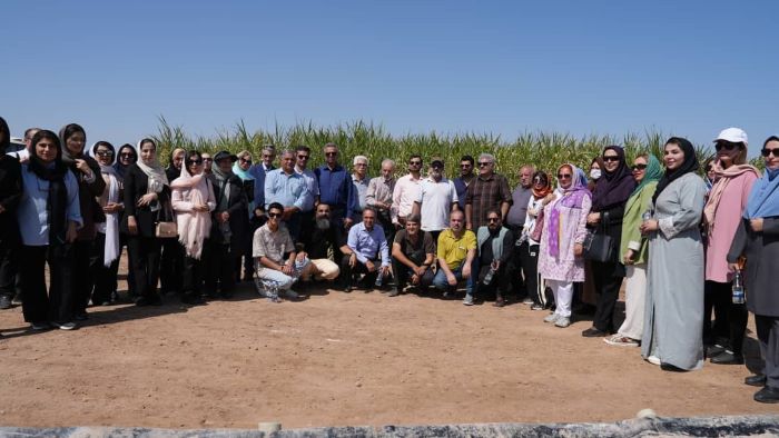 «فارابی»؛ همزیستی علم، صنعت و زیست‌بوم