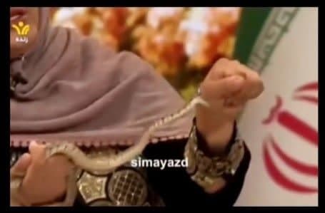 یک مار در برنامه سیما میهمان زن را نیش زد! یک مار در برنامه