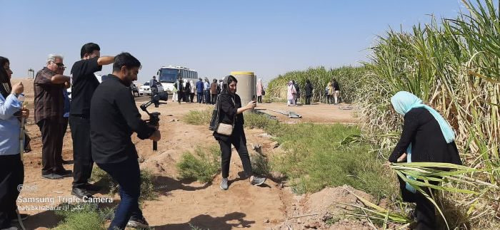 بازدید شاعران و نویسندگان از مزارع نیشکر؛ نگاهی انسانی به یک توسعه شیرین بازدید شاعران و نویسندگان از مزارع نیشکر؛ نگاهی انسانی به یک توسعه شیرین