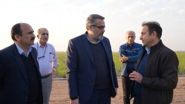 تولید شکر؛ آزمون سیاست پایداری در خوزستان