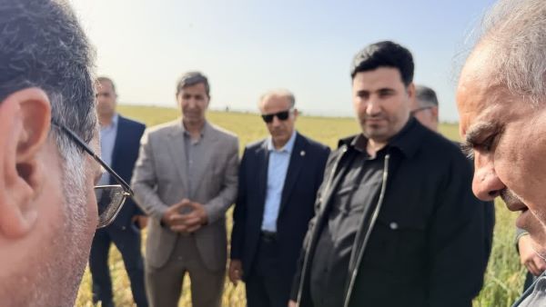 صندوق بیمه بانک کشاورزی در کنار کشاورزان خسارت دیده است