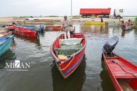 تالاب بزرگ شادگان در‌ خطر‌ خشکسالی‎‎